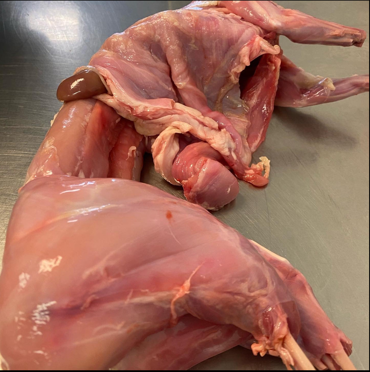 Whole Rabbit with Fur tapiarawmeatsforpetfood Without fur