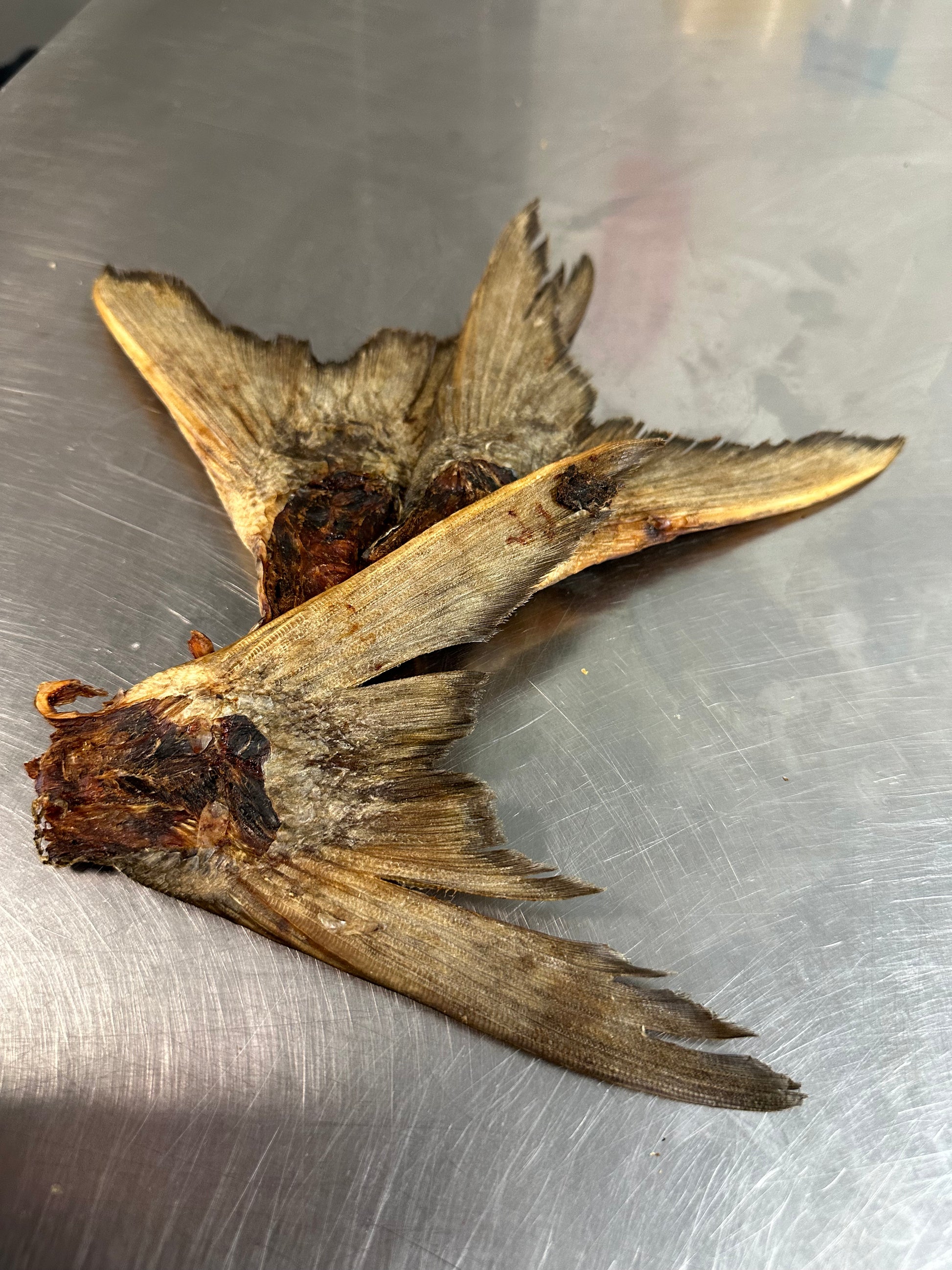 Salmon tail tapiarawmeatsforpetfood