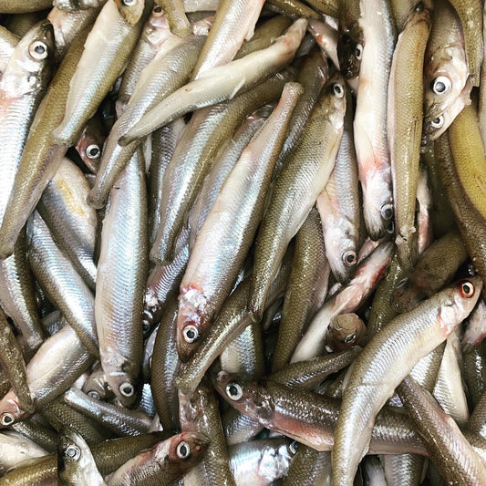 Smelts tapiarawmeatsforpetfood