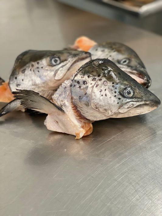 Salmon Heads tapiarawmeatsforpetfood