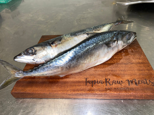 Mackerel Fish Chunks tapiarawmeatsforpetfood Cut Whole Mackerel Fish