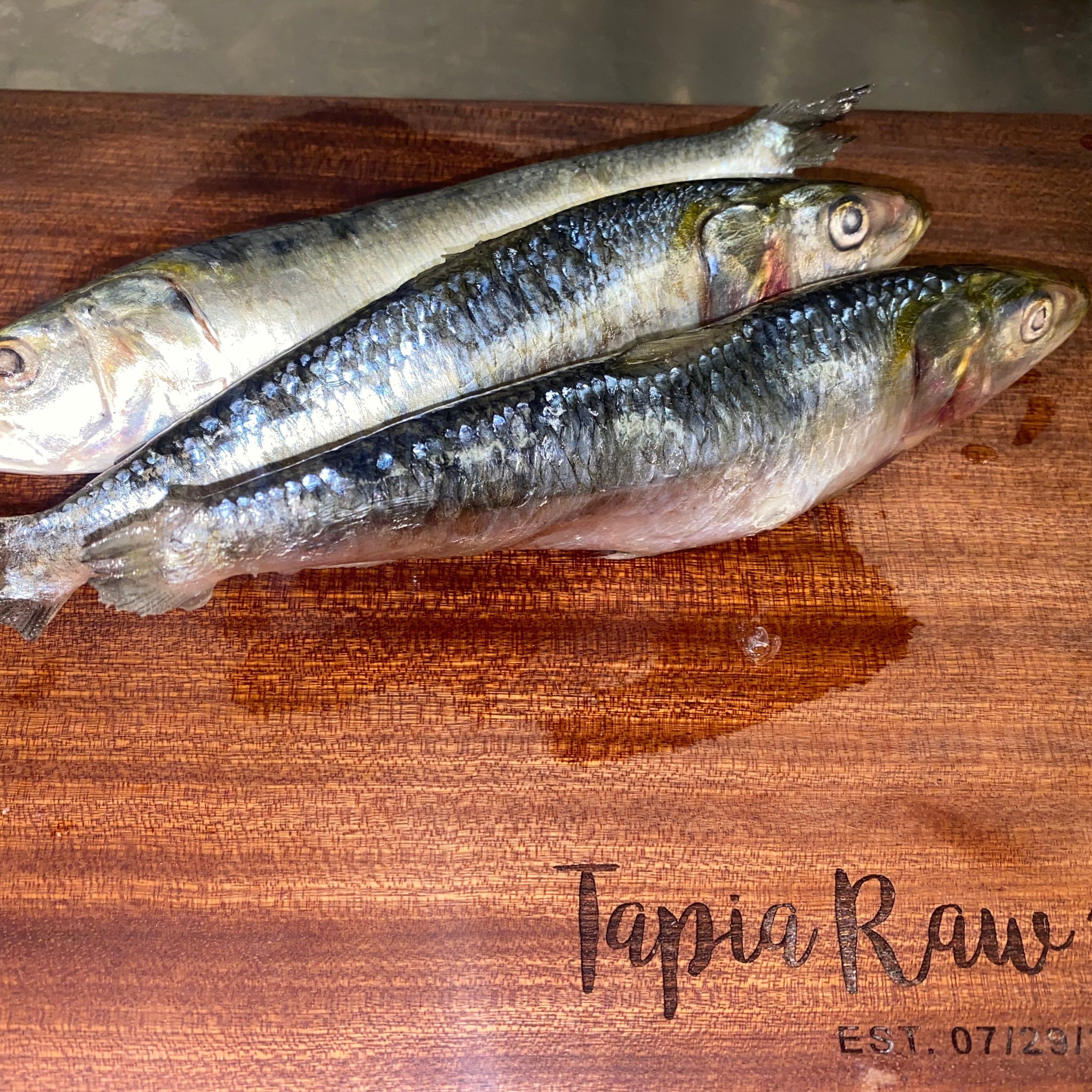 Fish