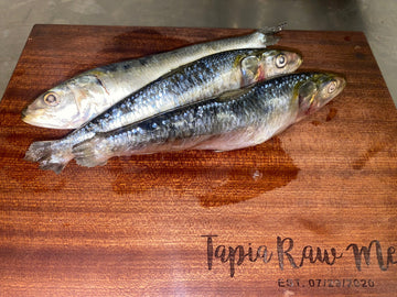 Fish