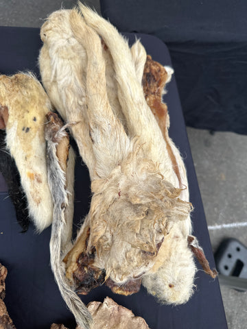 Lamb Tail With Fur