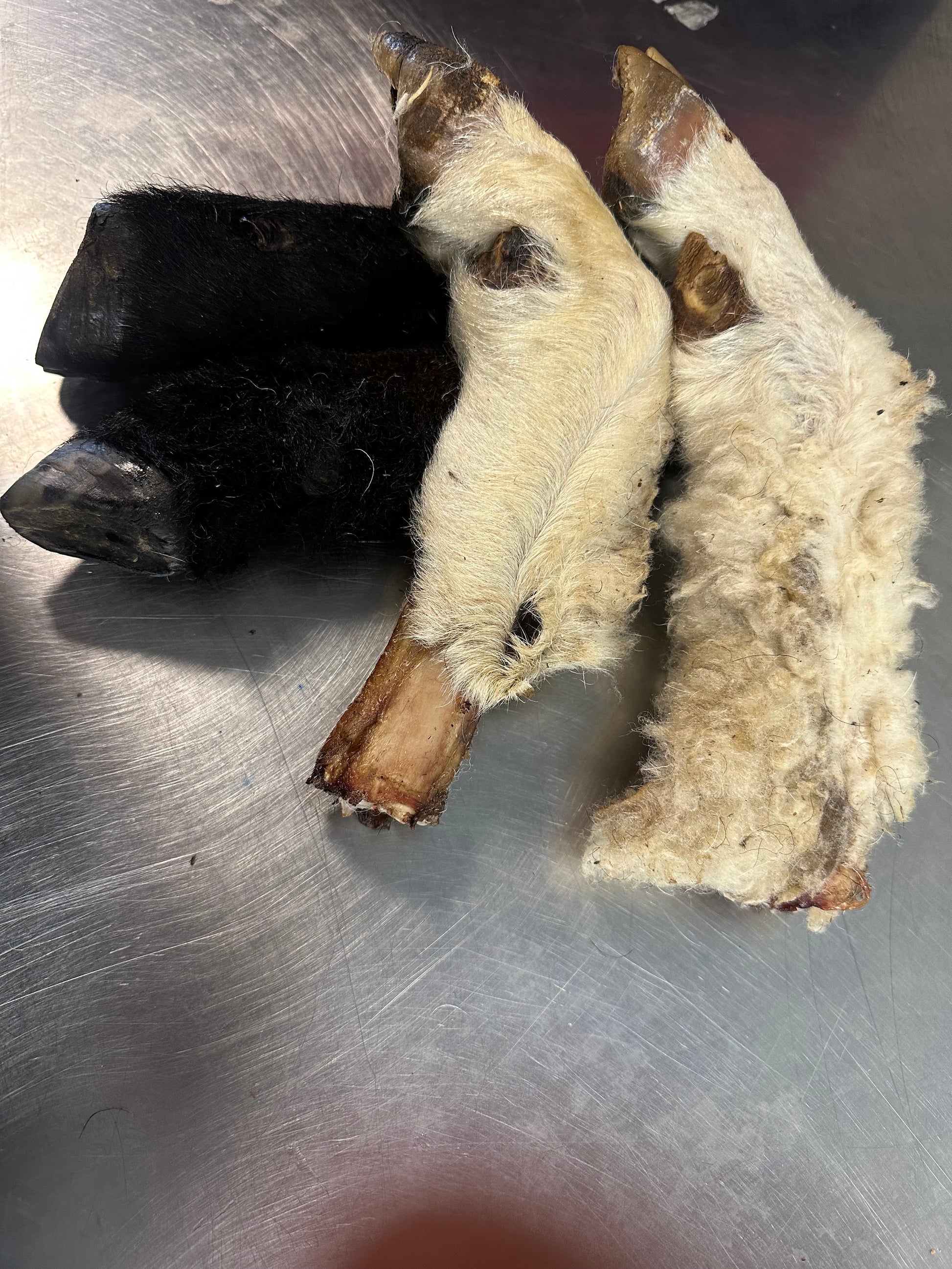 Lamb Trotter With Fur tapiarawmeatsforpetfood