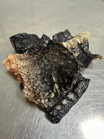 Gator Skin tapiarawmeatsforpetfood