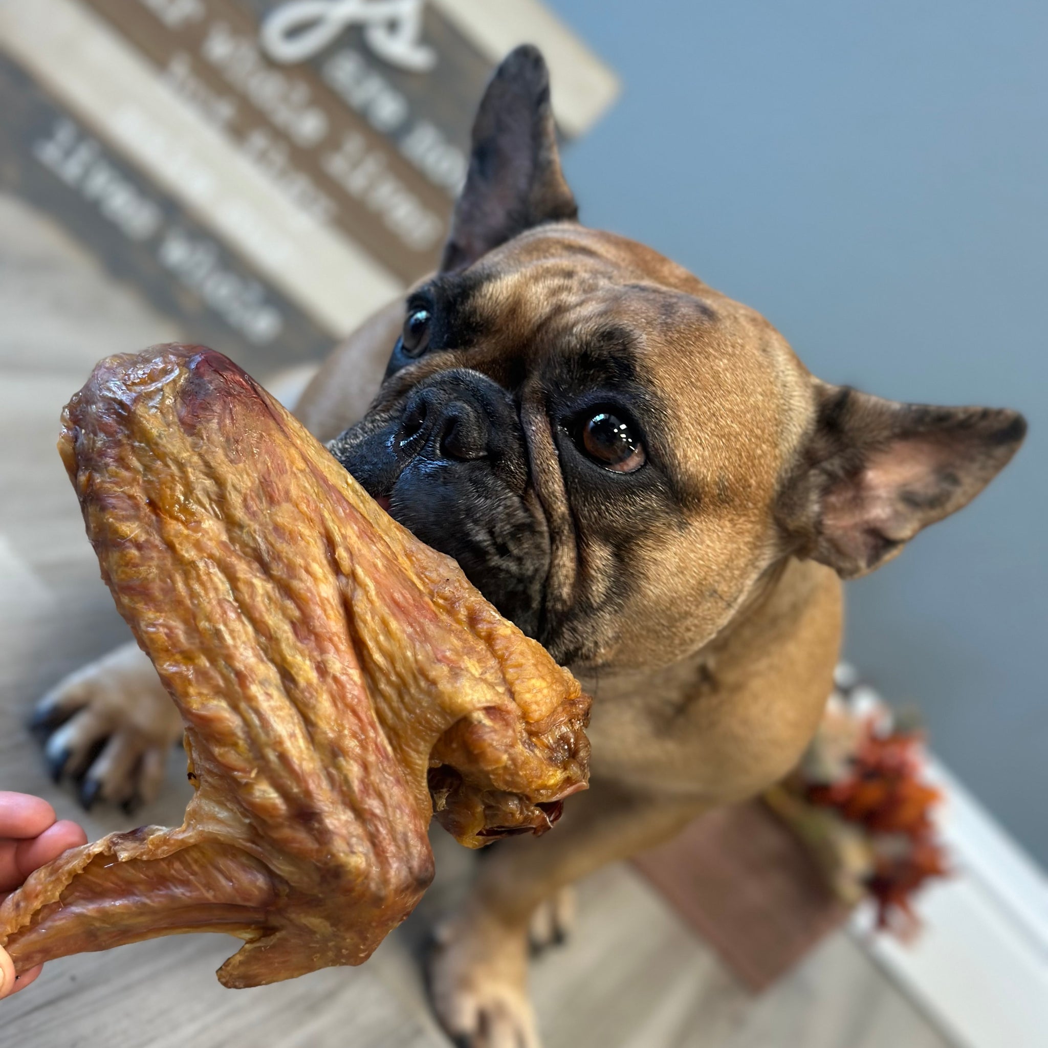 Turkey Wing tapiarawmeatsforpetfood