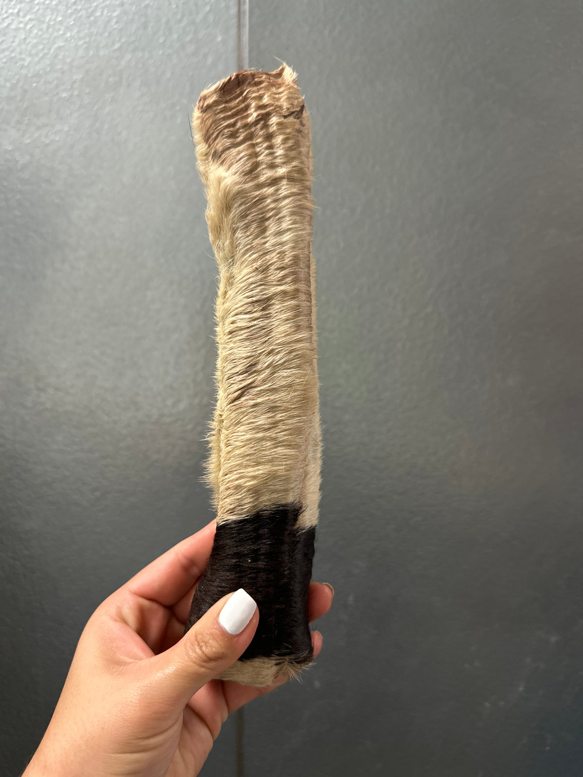 Beef Hide Roll tapiarawmeatsforpetfood Thick