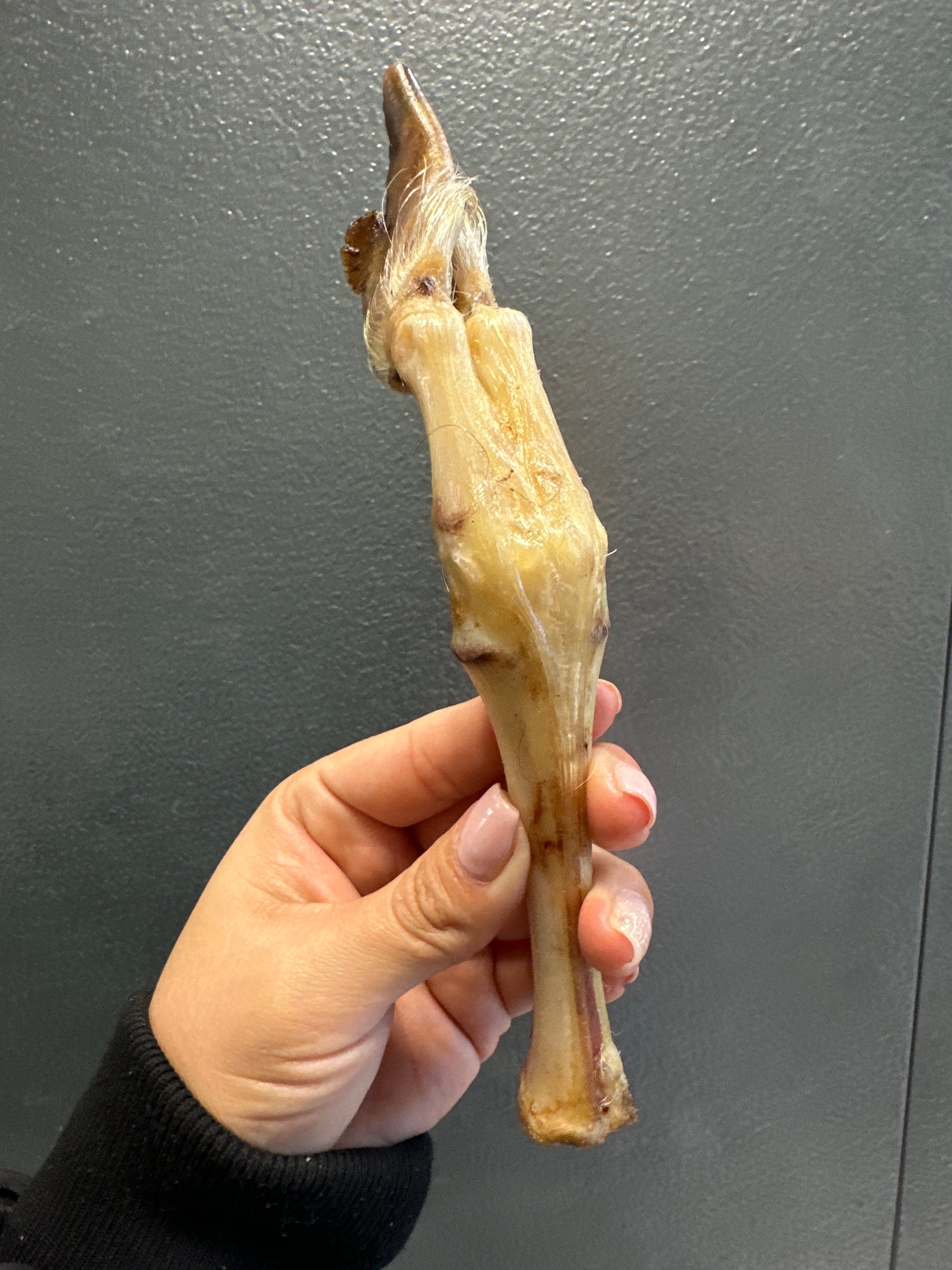 Goat Trotter Skinless tapiarawmeatsforpetfood 2pc