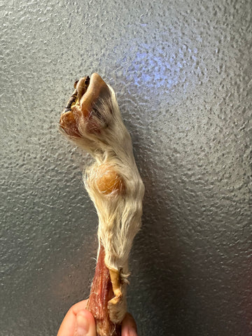 Goat Totters With Fur tapiarawmeatsforpetfood 2pc