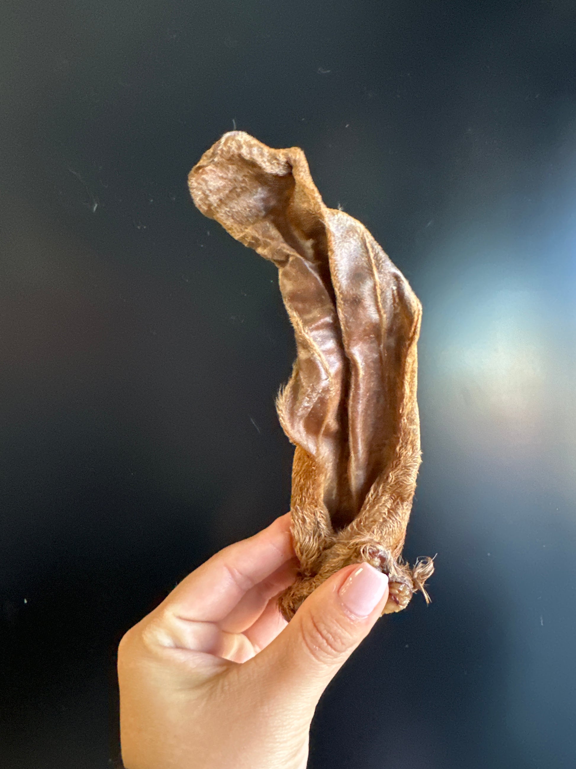 Goat Ears tapiarawmeatsforpetfood 2pc