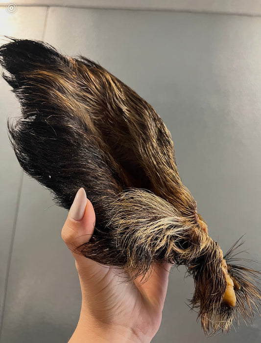 wild boar ear tapiarawmeatsforpetfood