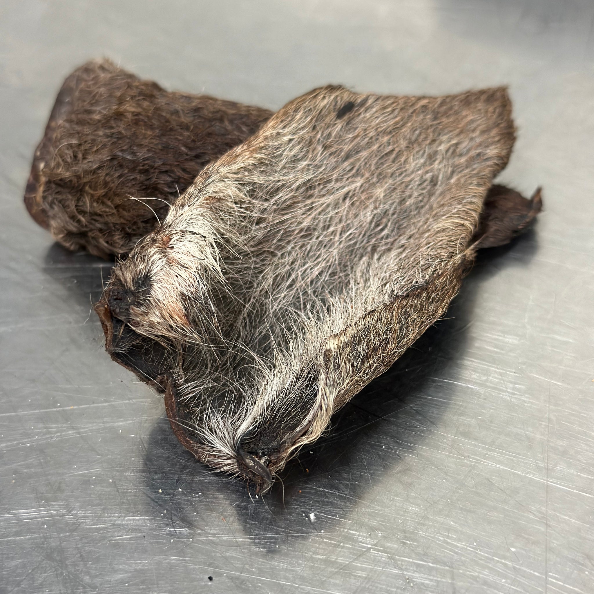 Kangaroo Ear tapiarawmeatsforpetfood