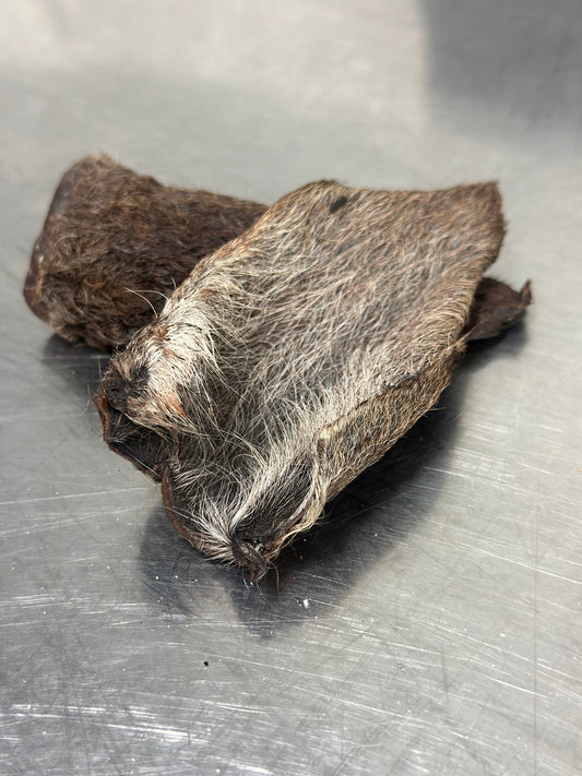 Kangaroo Ear