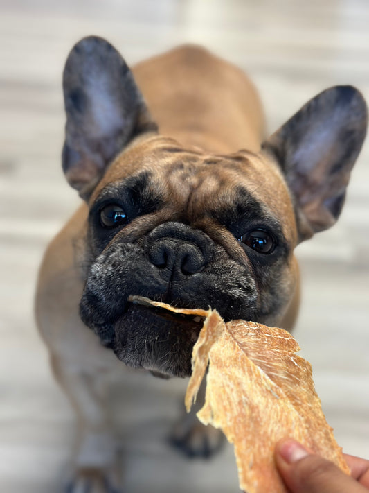 Turkey Jerky