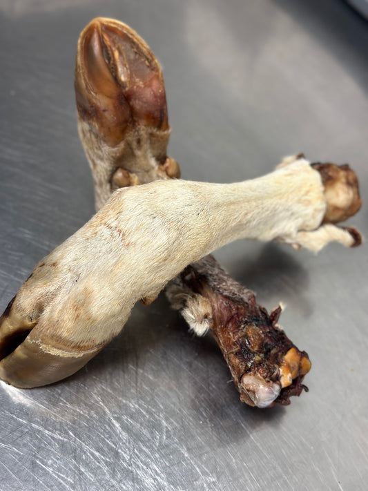 Whole Cow Foot With Fur