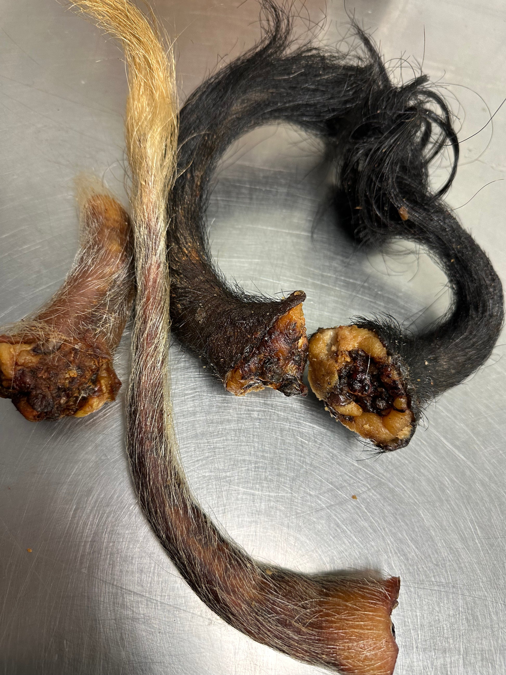 Pork Tail With Fur tapiarawmeatsforpetfood