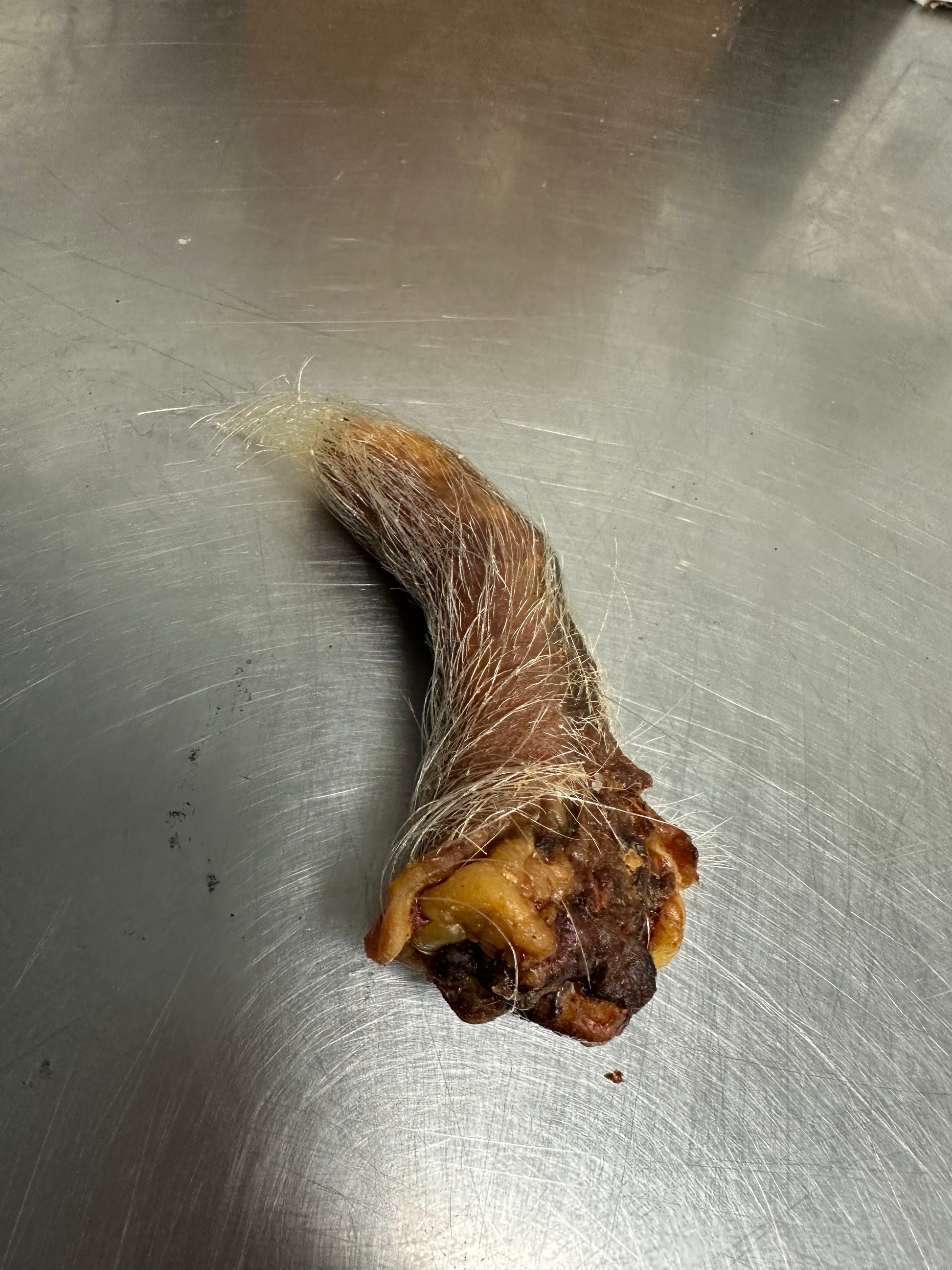 Pork Tail With Fur tapiarawmeatsforpetfood