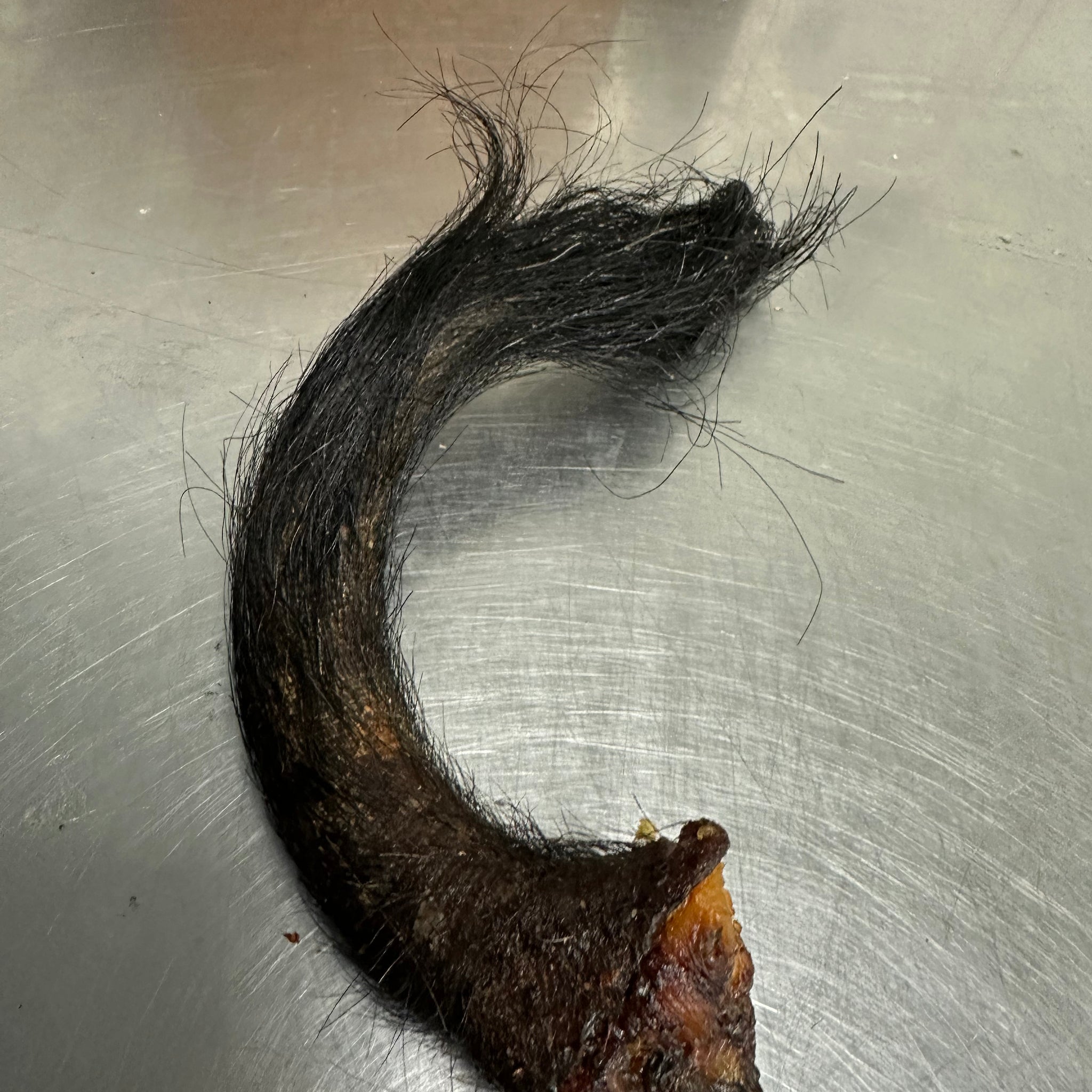 Pork Tail With Fur tapiarawmeatsforpetfood