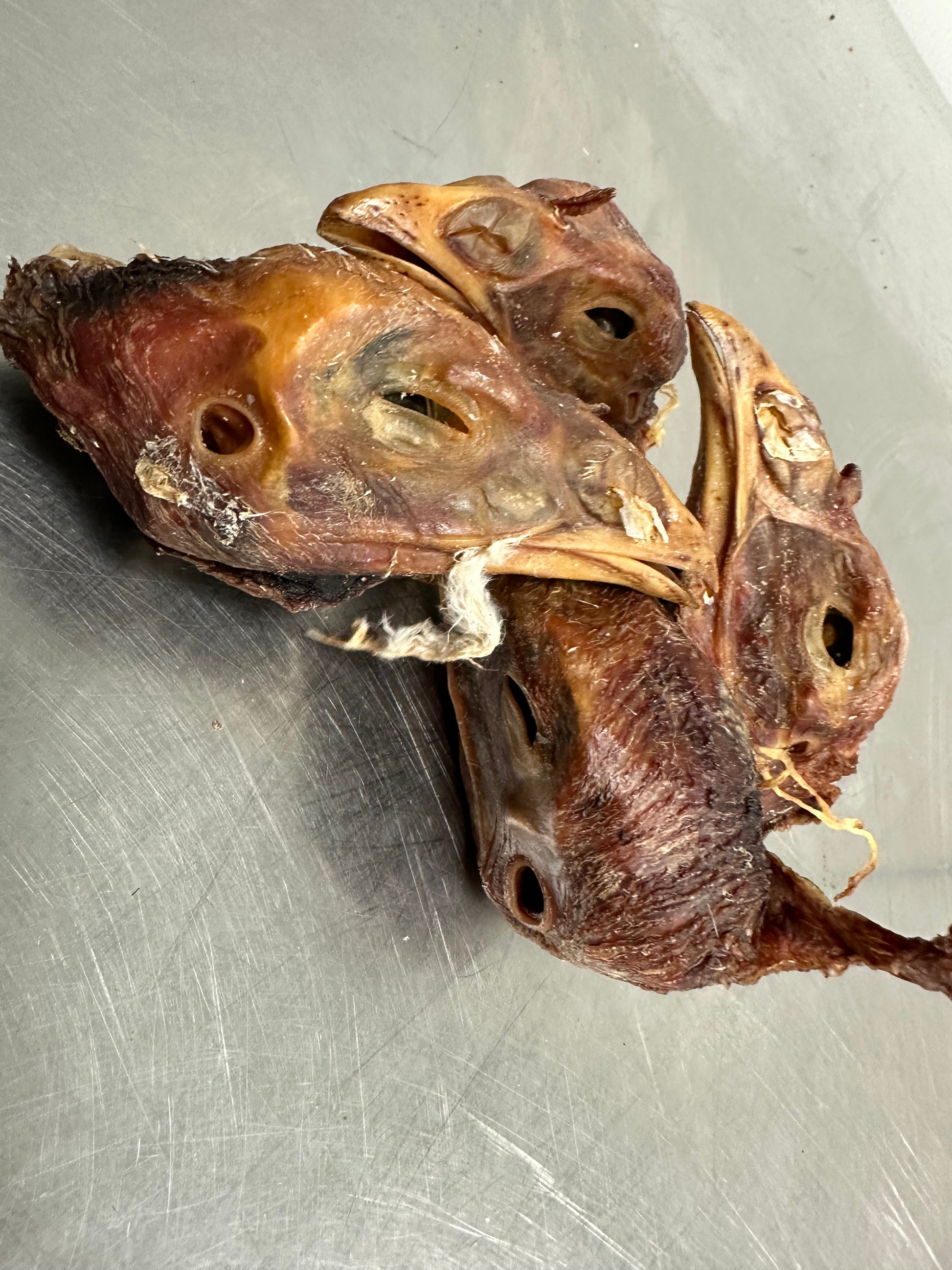 Turkey Head tapiarawmeatsforpetfood