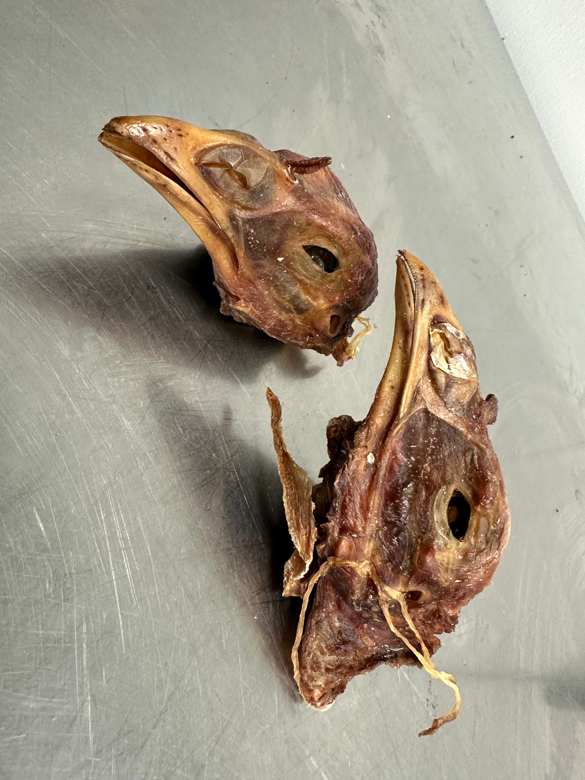 Turkey Head tapiarawmeatsforpetfood