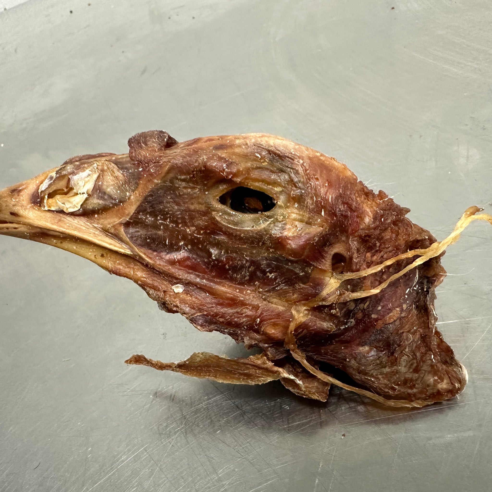 Turkey Head tapiarawmeatsforpetfood
