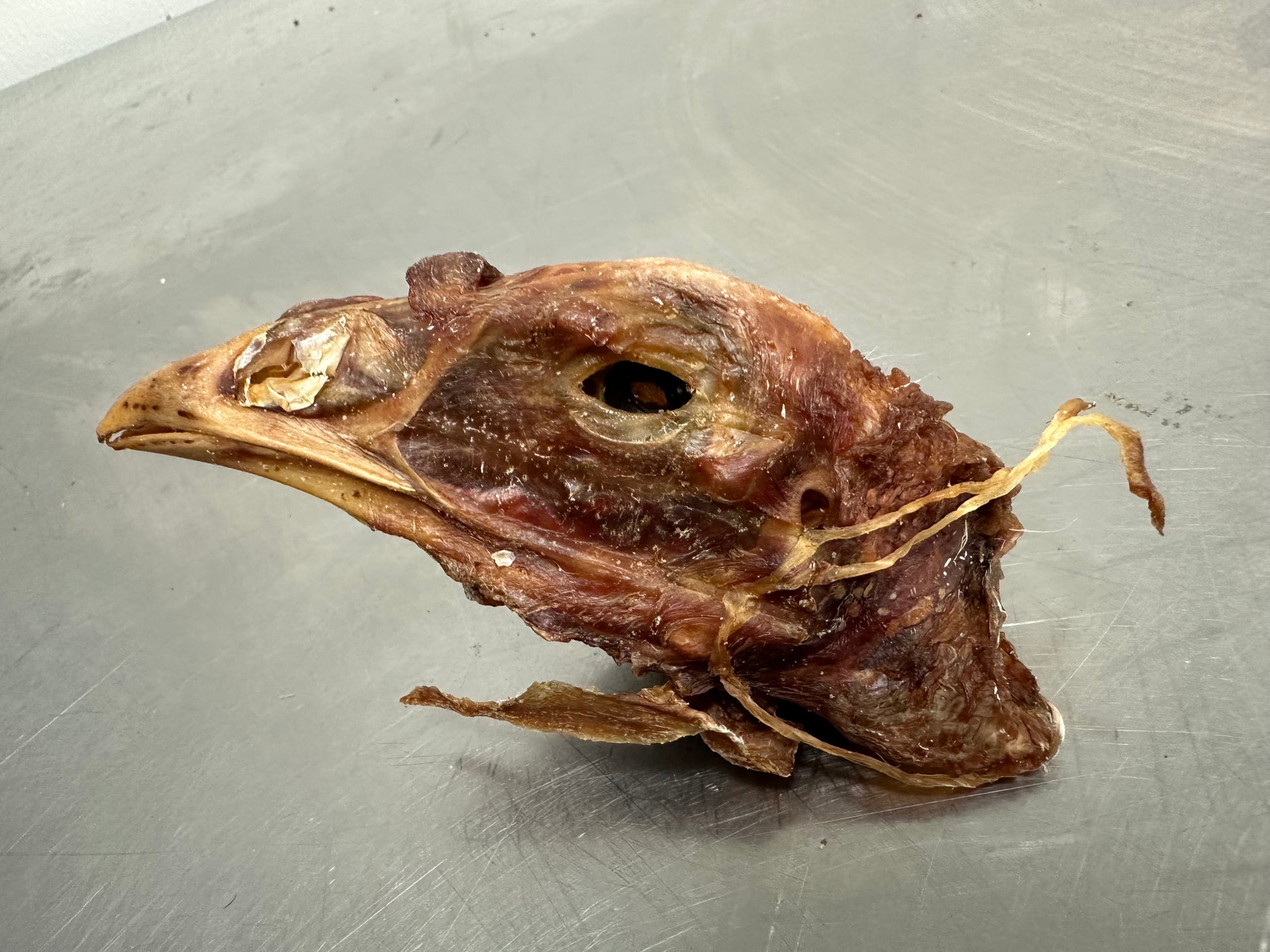 Turkey Head tapiarawmeatsforpetfood