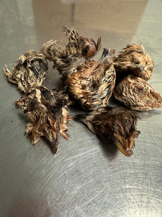 Quail Head