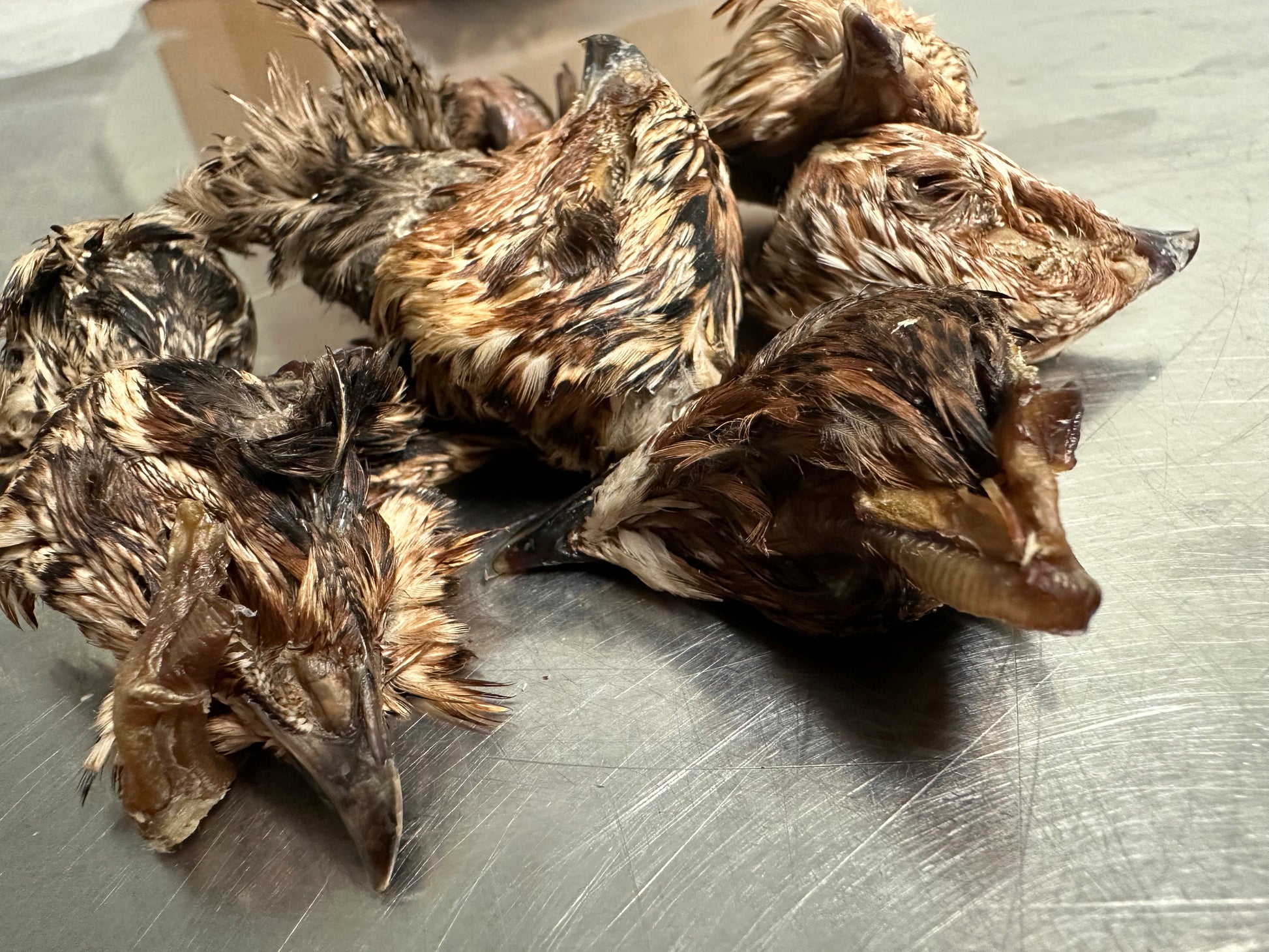 Quail Head tapiarawmeatsforpetfood