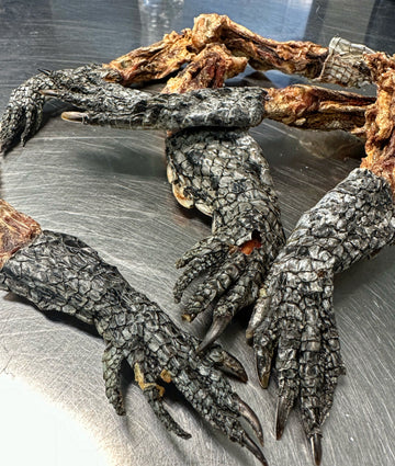 Alligator Leg tapiarawmeatsforpetfood