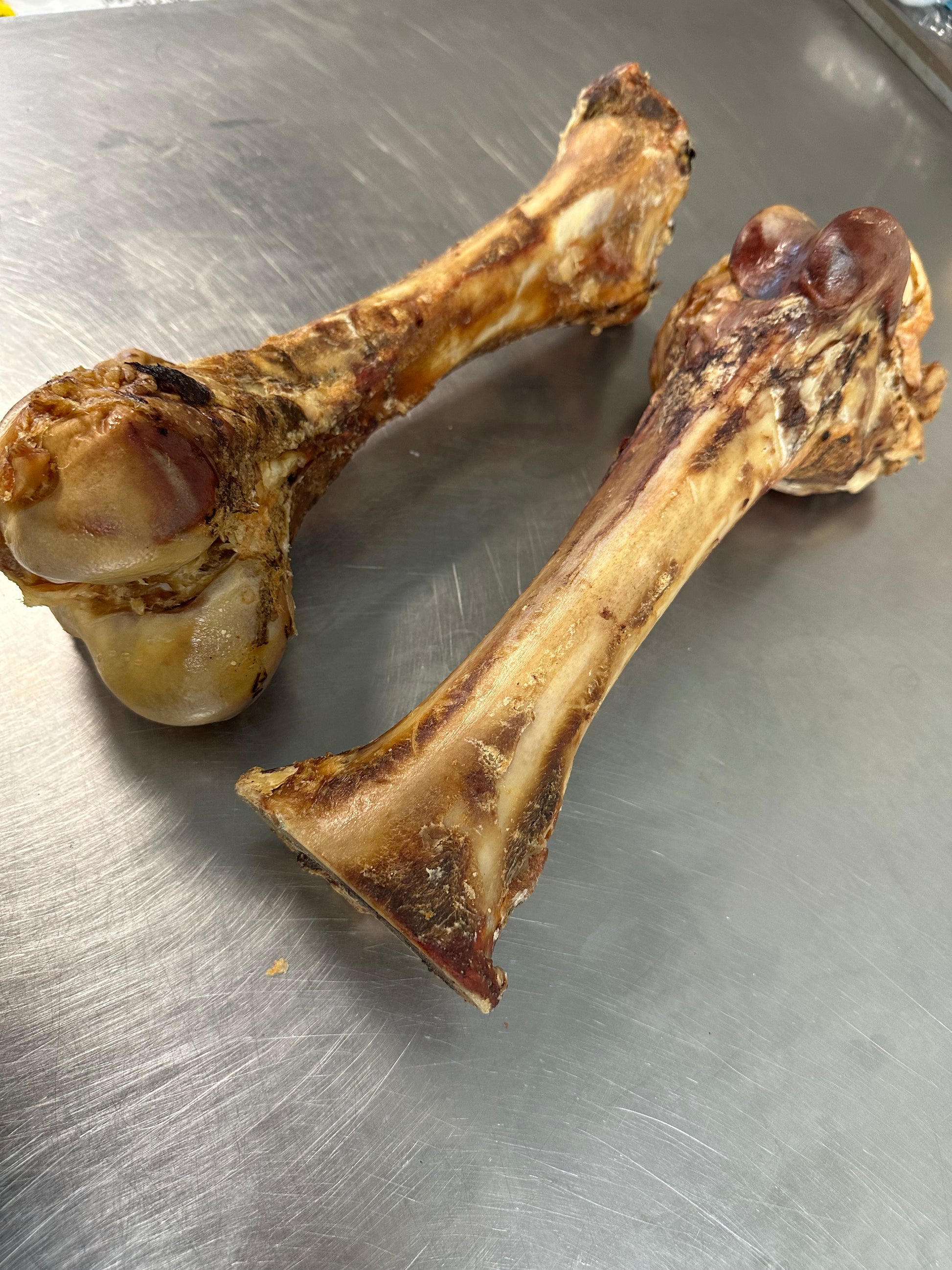 Beef Femur tapiarawmeatsforpetfood