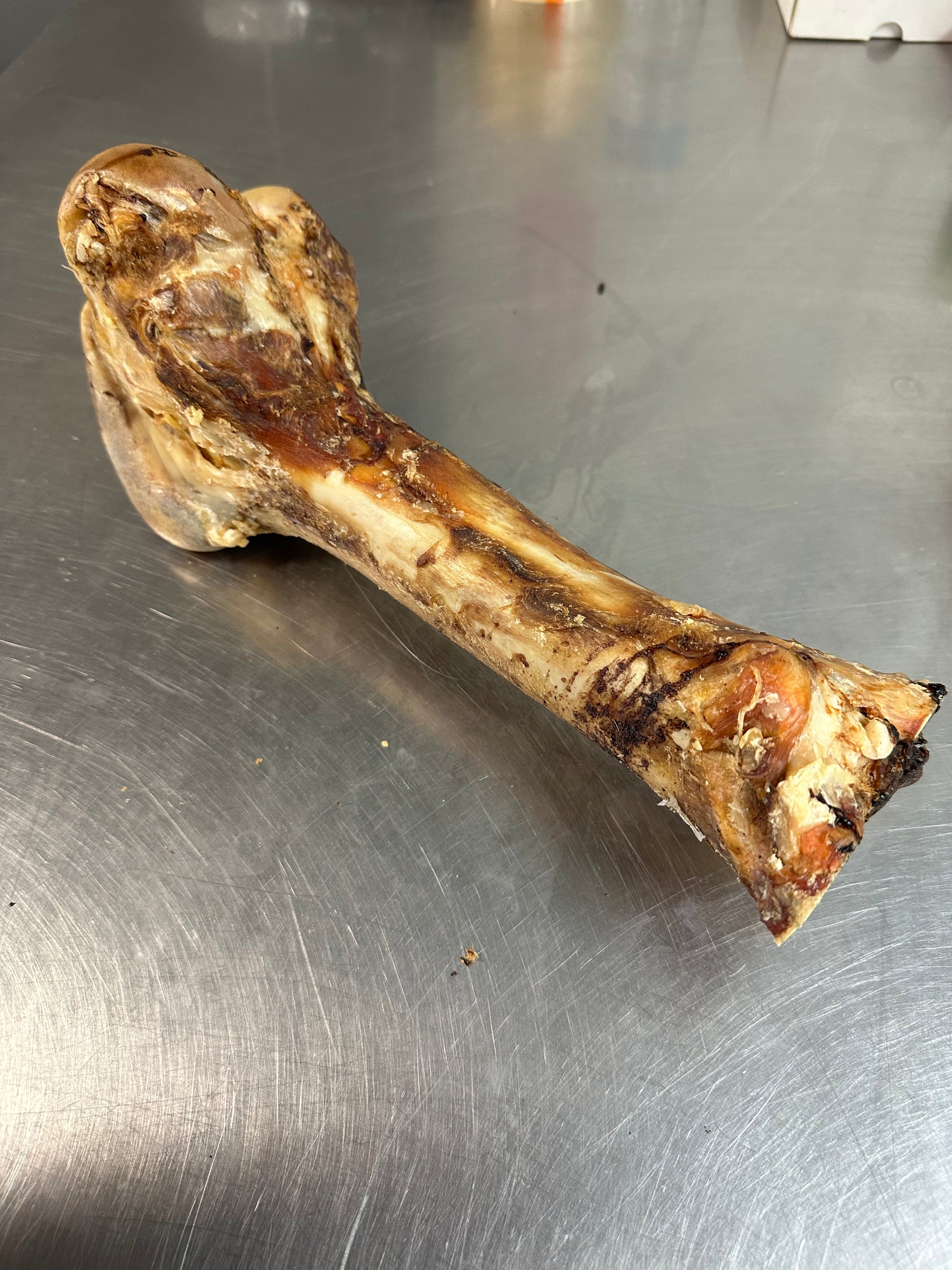 Beef Femur tapiarawmeatsforpetfood