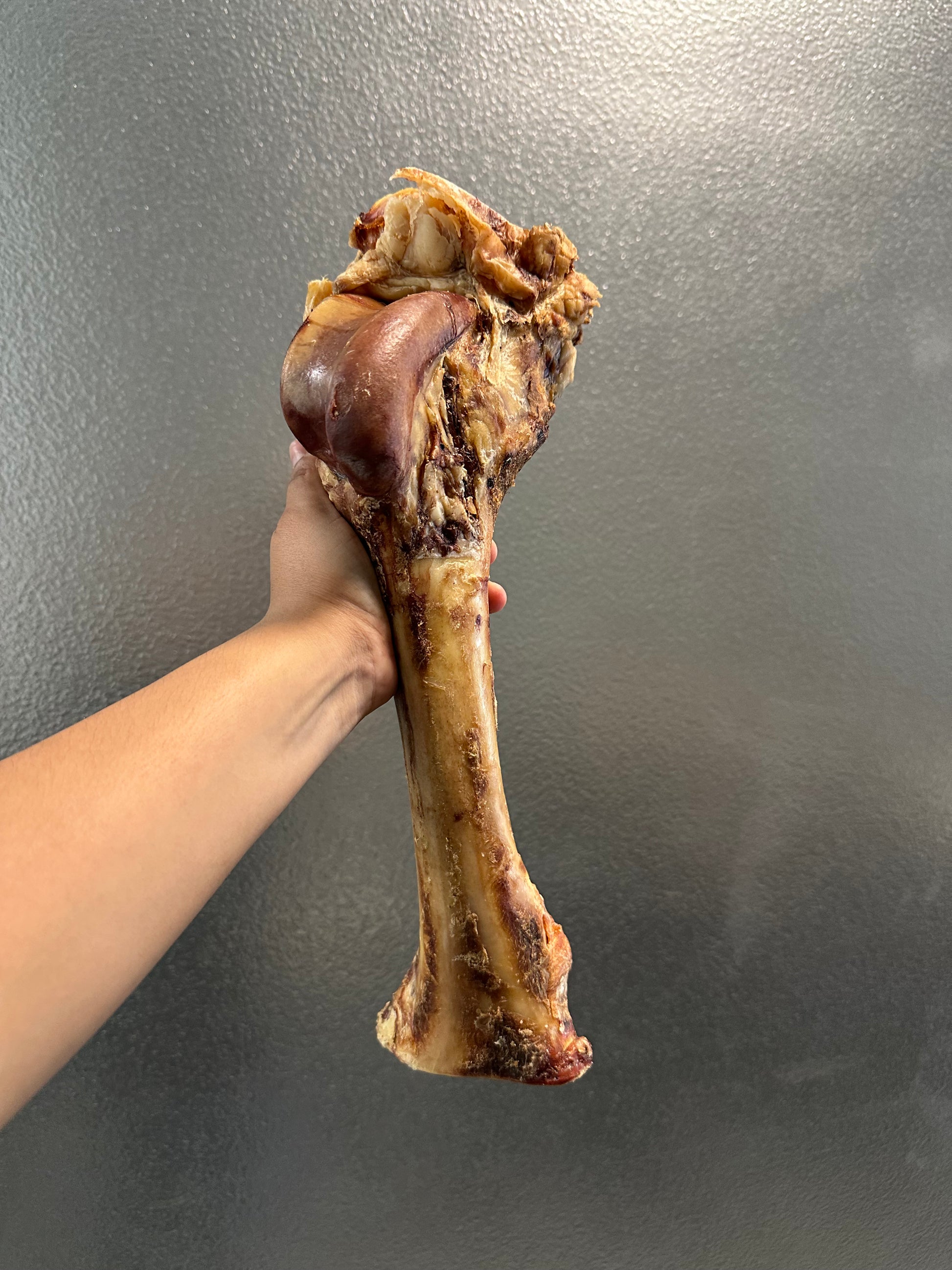Beef Femur tapiarawmeatsforpetfood