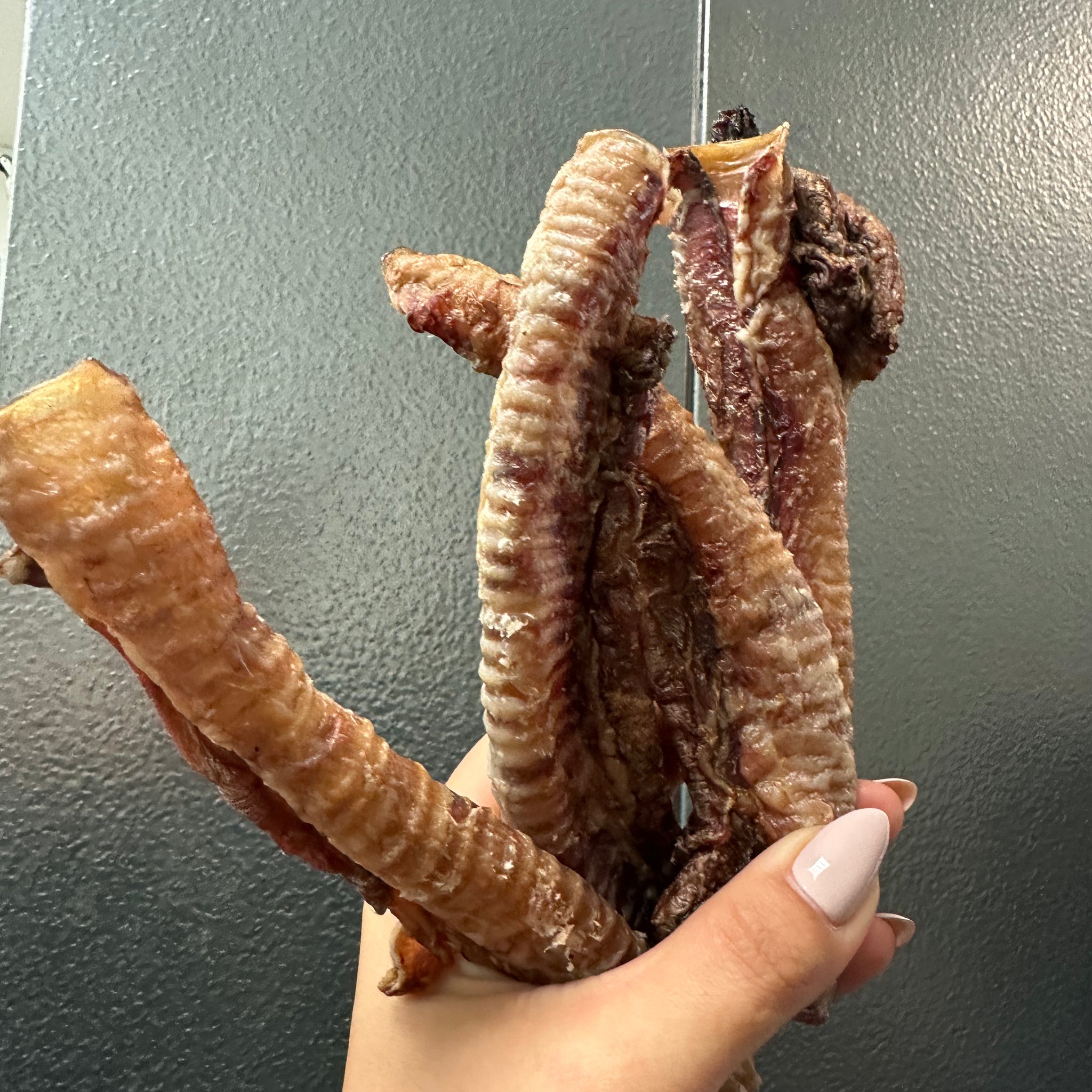 Lamb Trachea tapiarawmeatsforpetfood 1pc