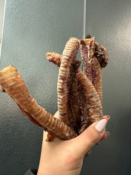 Lamb Trachea