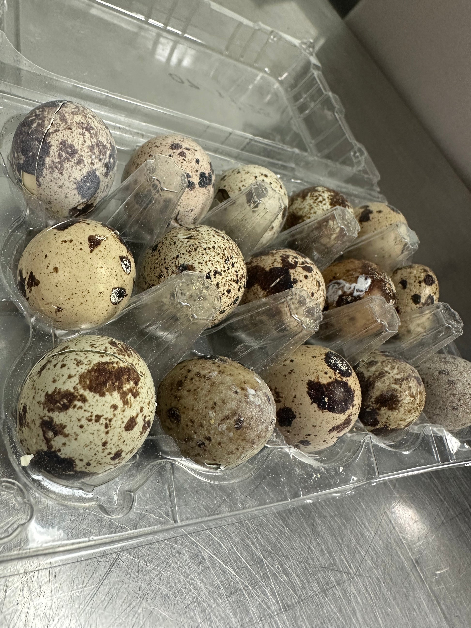 Freeze Dry Quail Egg 15pc tapiarawmeatsforpetfood