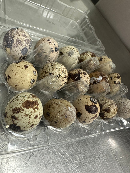 Freeze Dry Quail Egg 15pc
