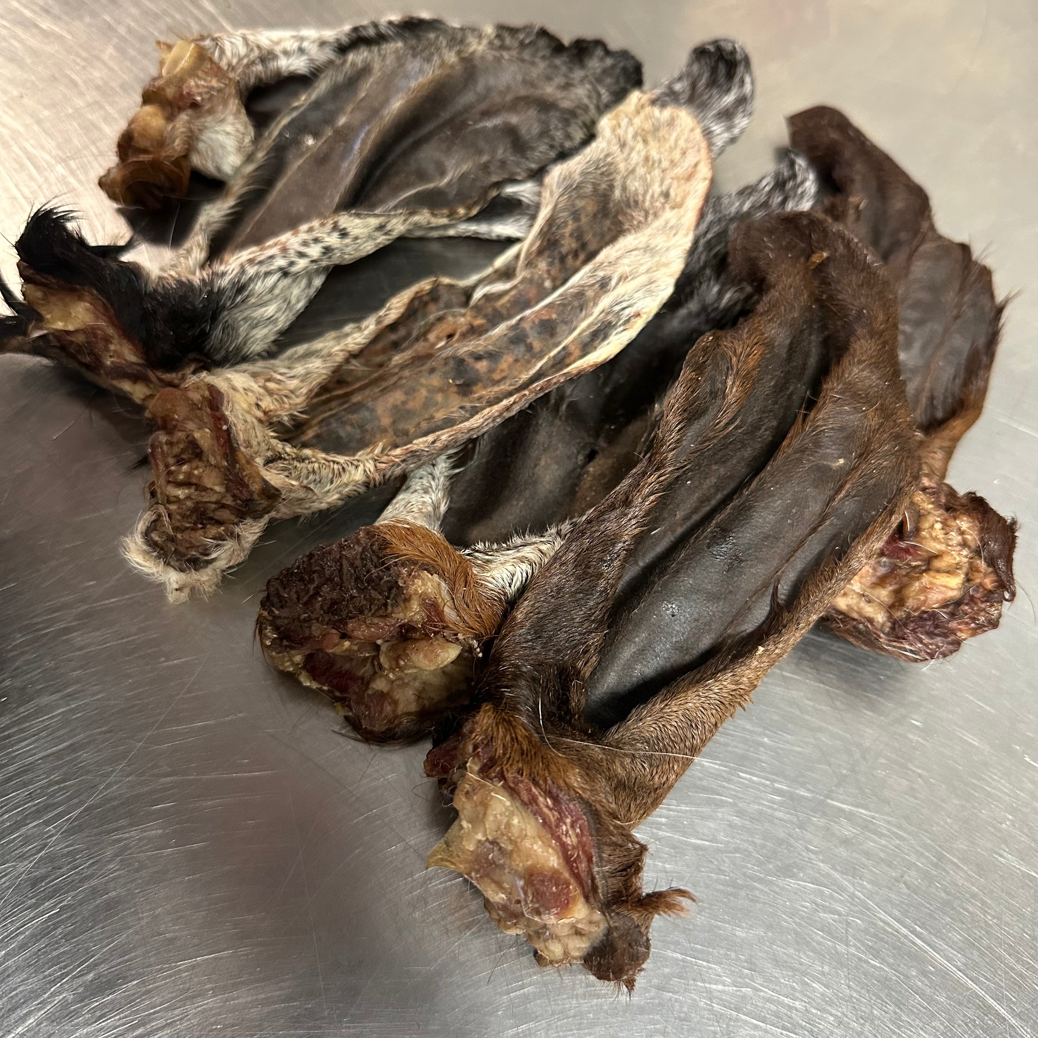 Goat Ear tapiarawmeatsforpetfood