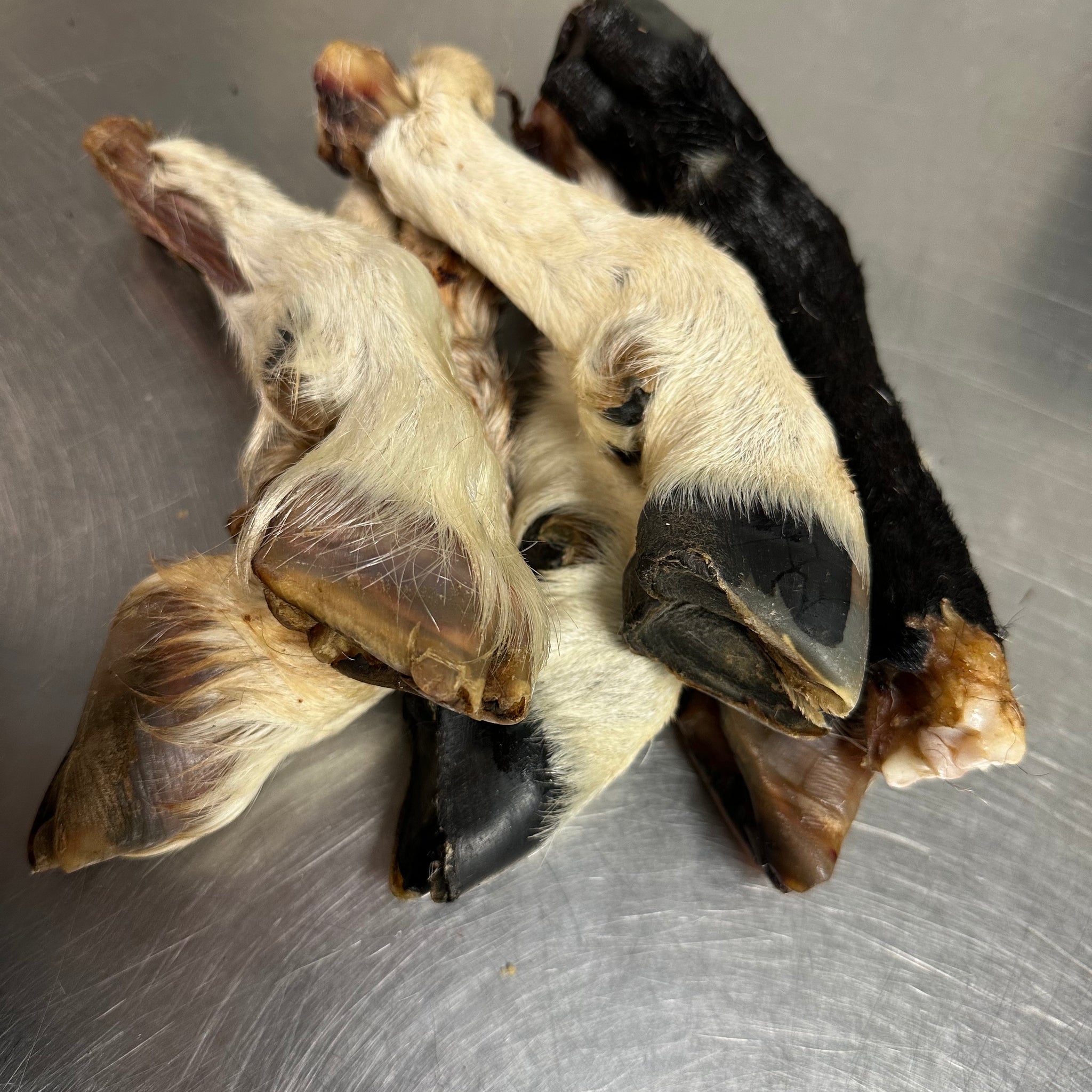 Goat Trotter With Fur tapiarawmeatsforpetfood