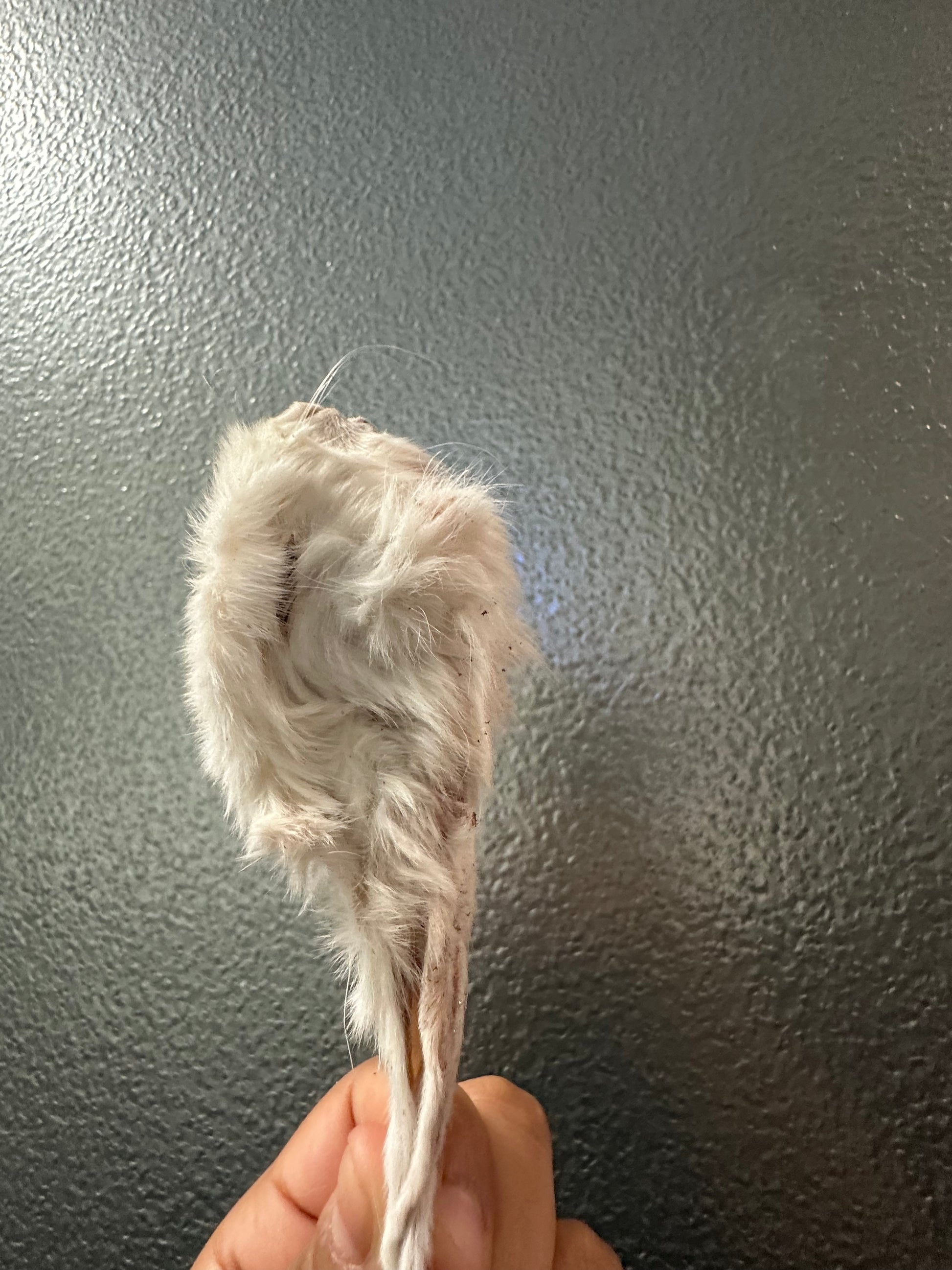 Fuzzy Dried Rabbit Frezzer Dry Small Rabbit Heads
