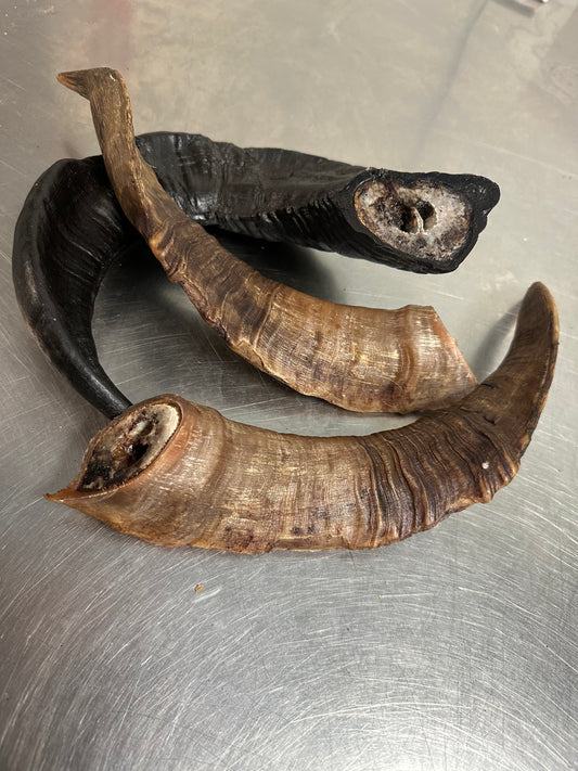 Ram Horn