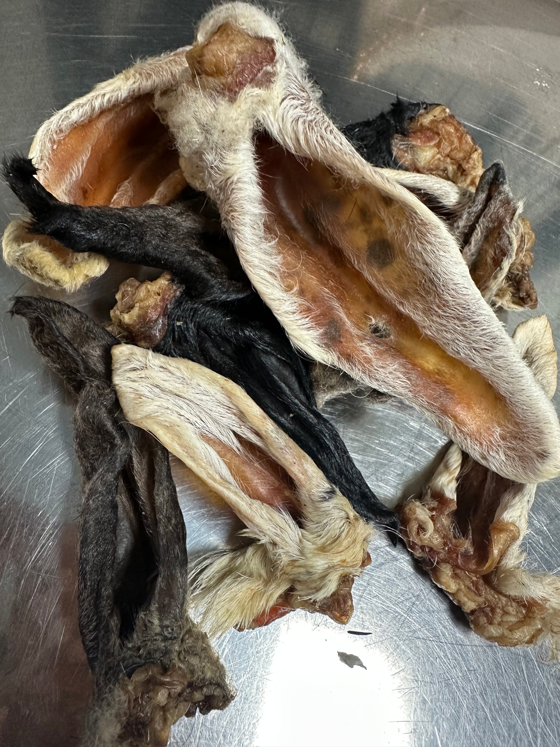 lamb ears tapiarawmeatsforpetfood