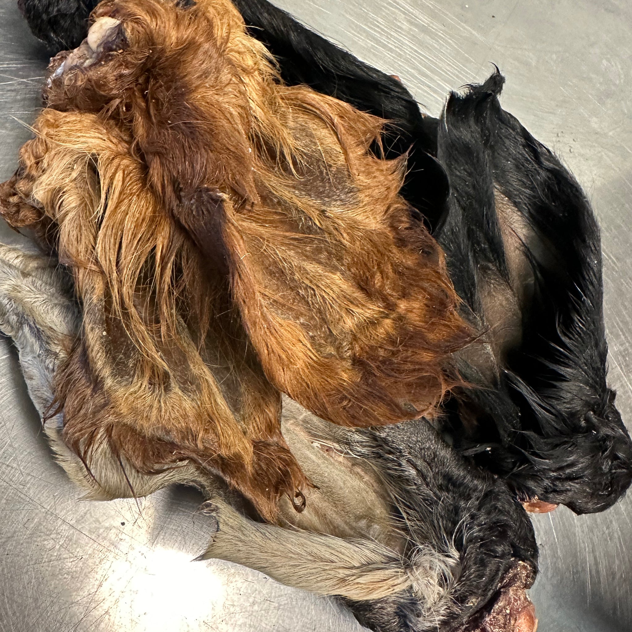 Dehydrated Beef Ear tapiarawmeatsforpetfood