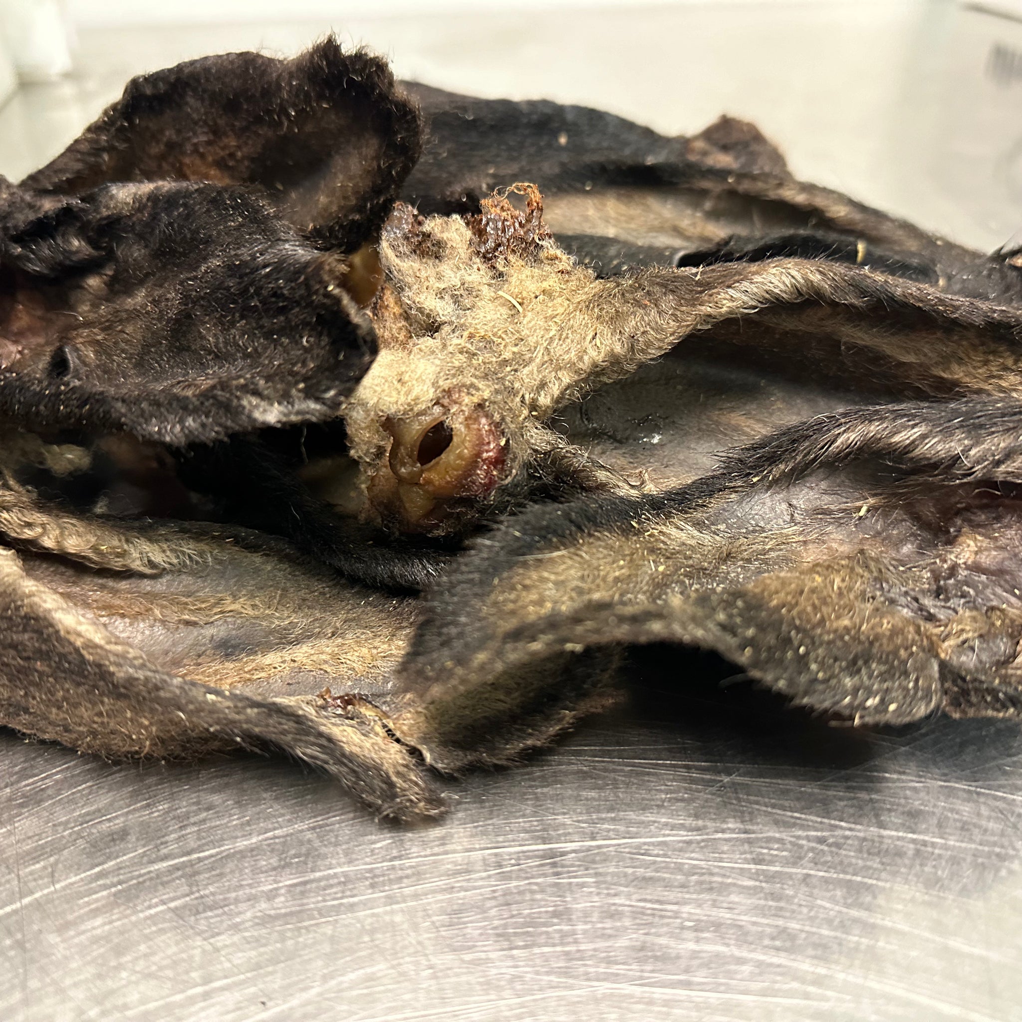 Lamb Ear tapiarawmeatsforpetfood
