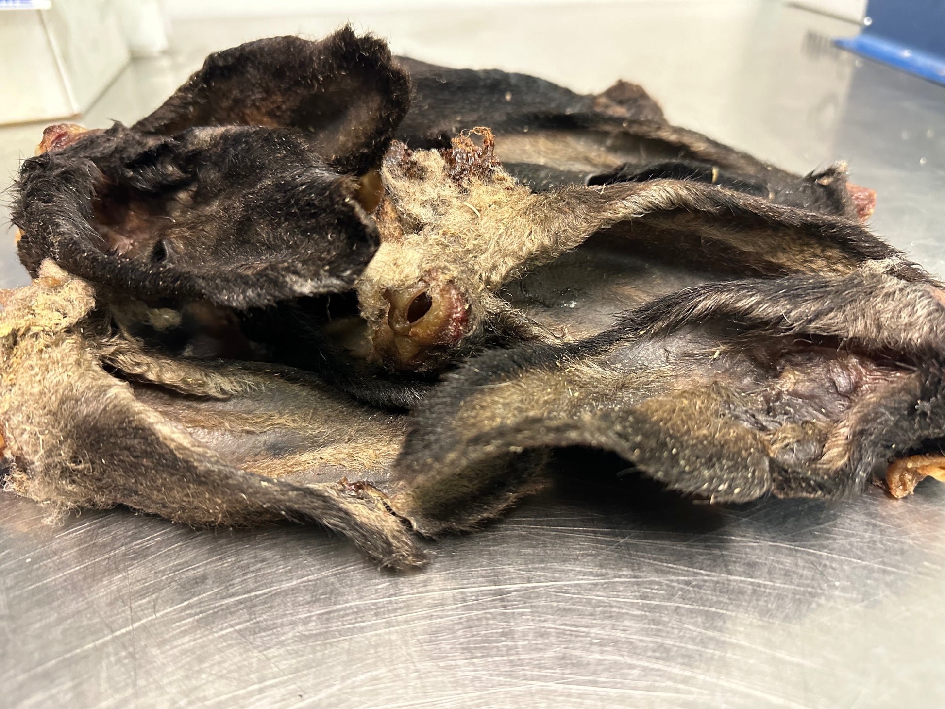 Lamb Ear tapiarawmeatsforpetfood