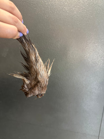 Goat Tail