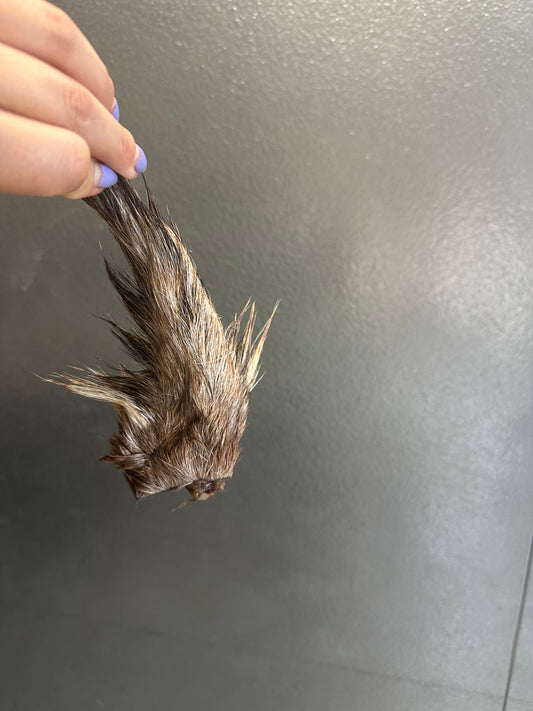 Goat Tail tapiarawmeatsforpetfood