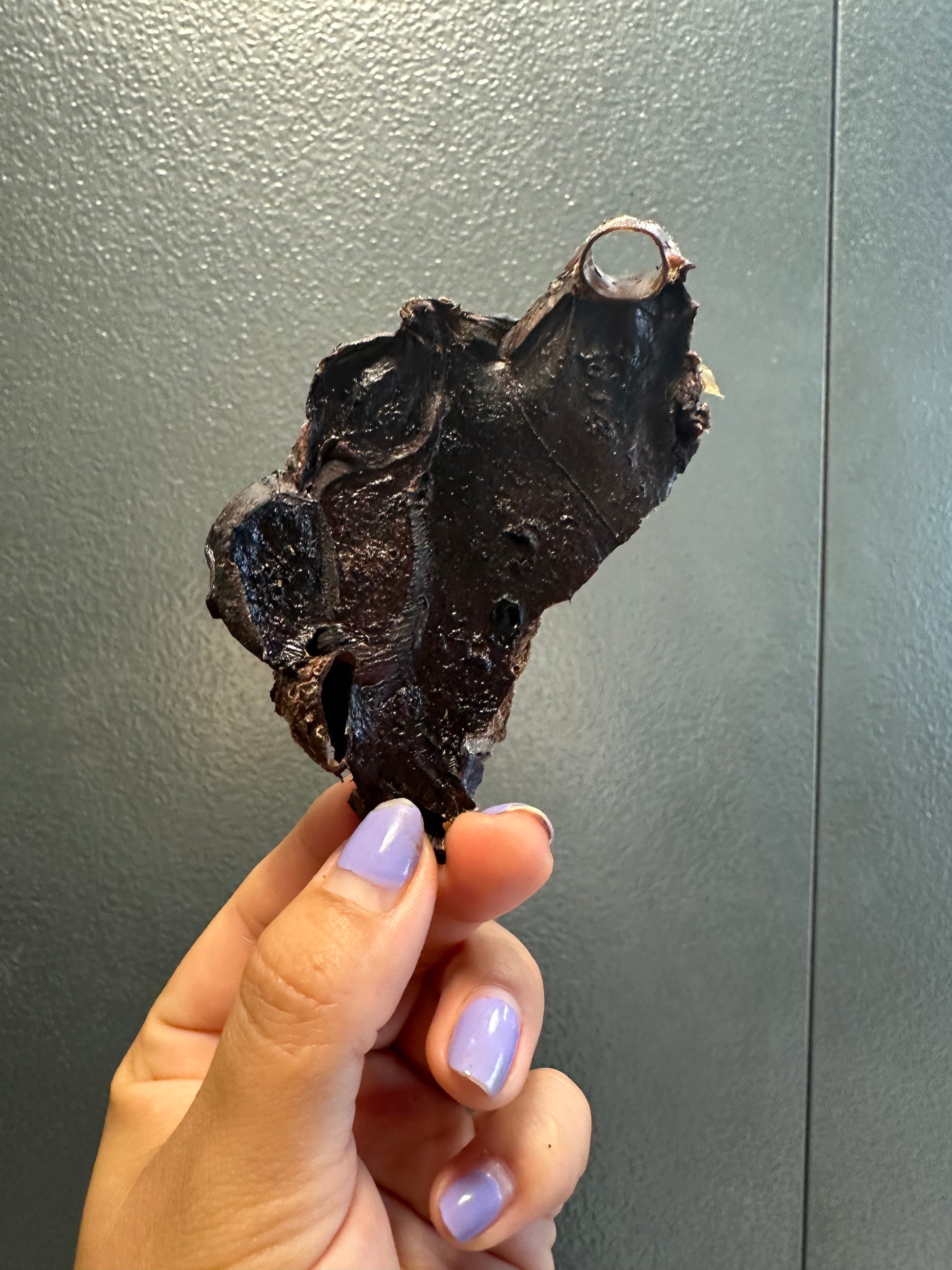 kangaroo lungs tapiarawmeatsforpetfood
