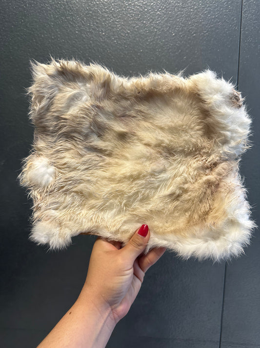 Rabbit Hide Plate tapiarawmeatsforpetfood