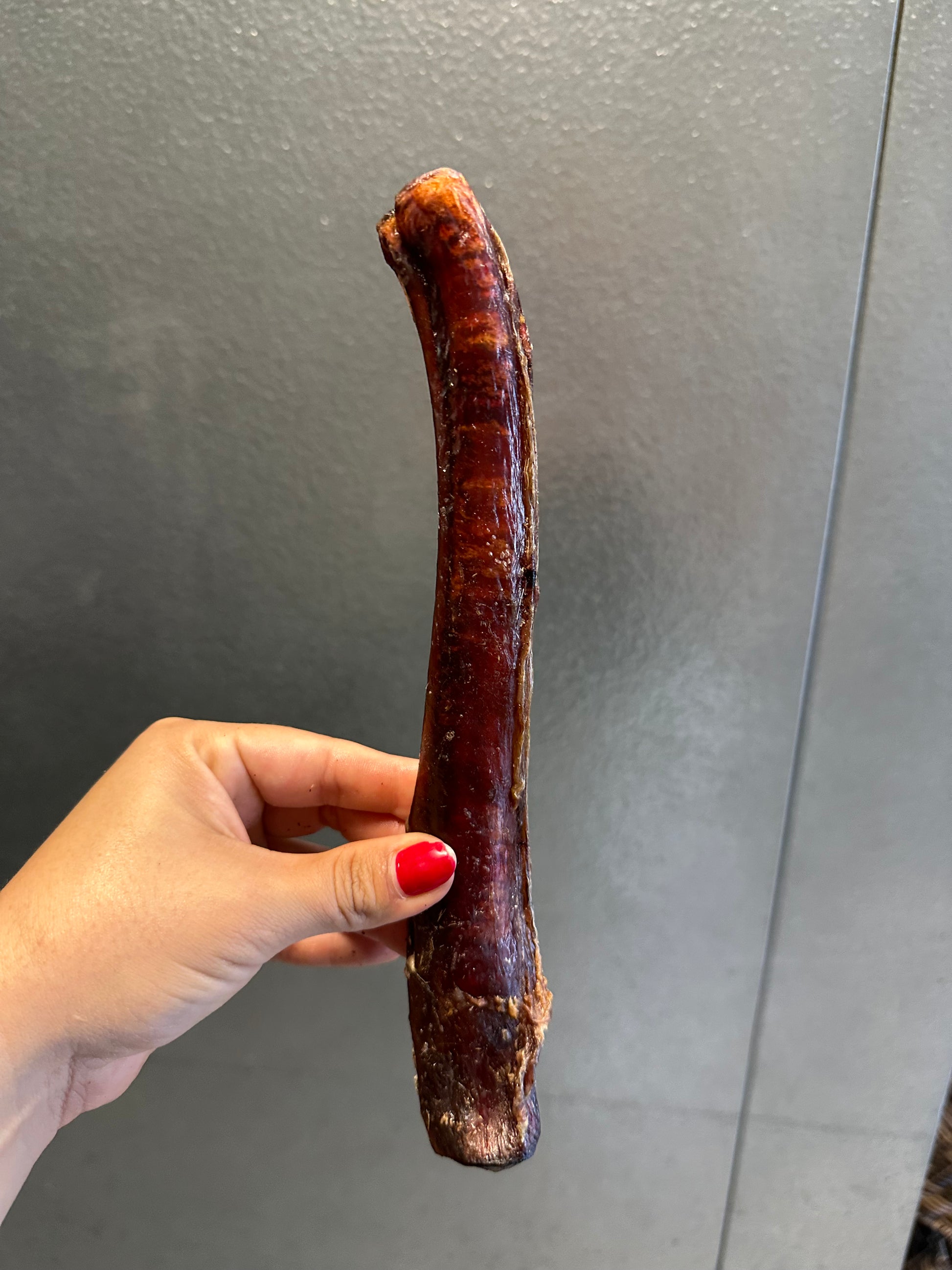 Dehydrated Bully Stick tapiarawmeatsforpetfood thick
